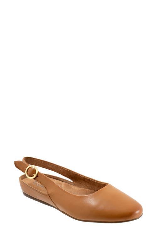 SoftWalk Sandy Slingback Flat Sandal Product Image