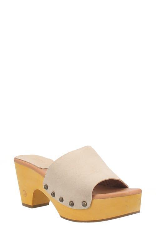 Dingo Beechwood Women's Shoes Product Image