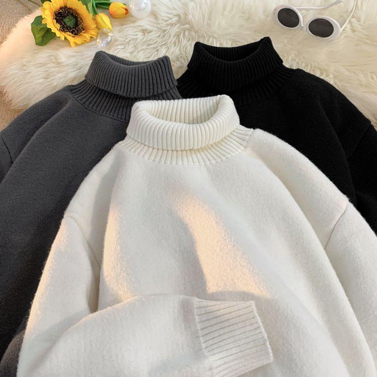 Long-Sleeve Turtleneck Plain Sweater Product Image