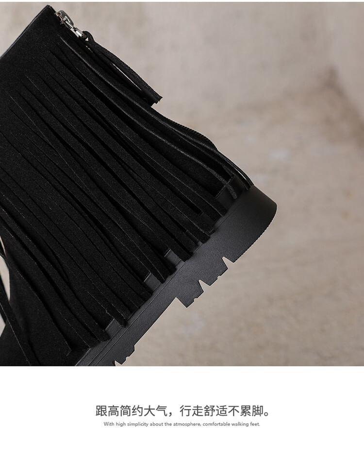 Tassel Faux Suede Platform Chunky Heel Short Boots Product Image