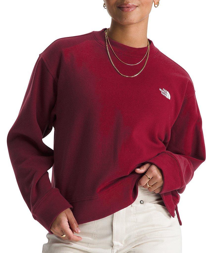 The North Face Evolution Crew Neck Long Sleeve Top Product Image