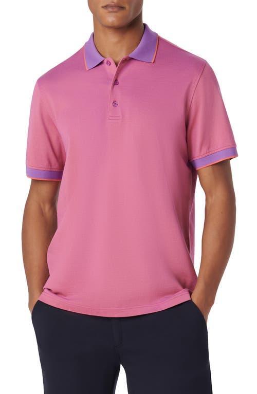 Bugatchi Tipped Piqu Polo Product Image