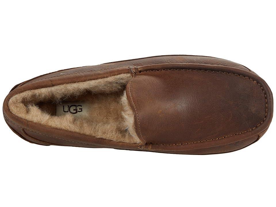 UGG(r) Ascot Leather Slipper Product Image