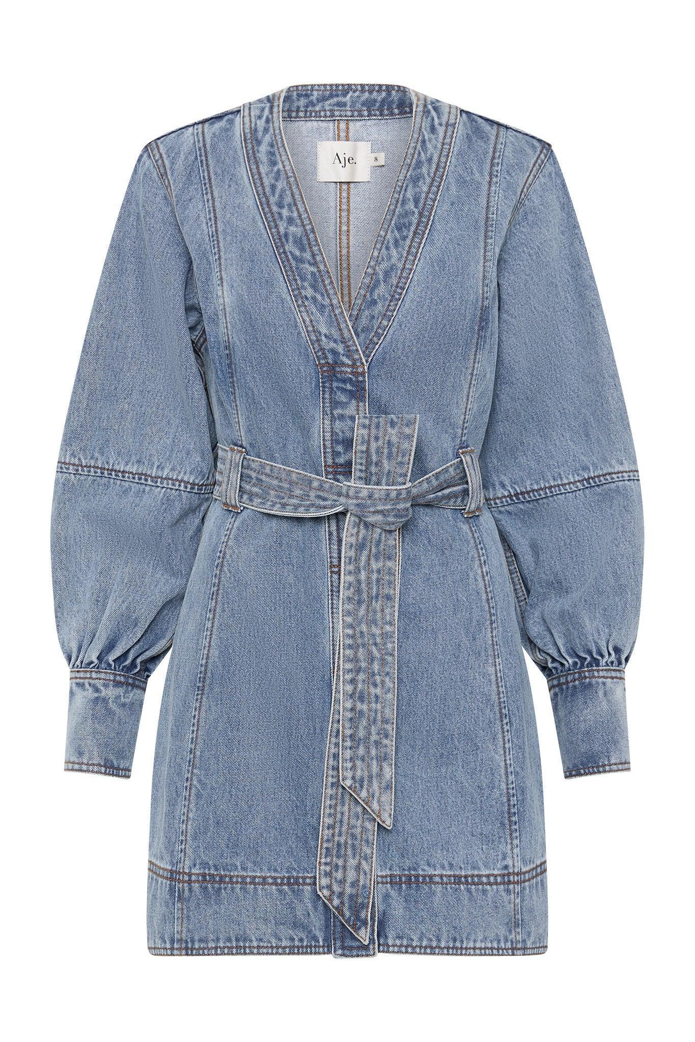 Outline Denim Mini Dress Product Image