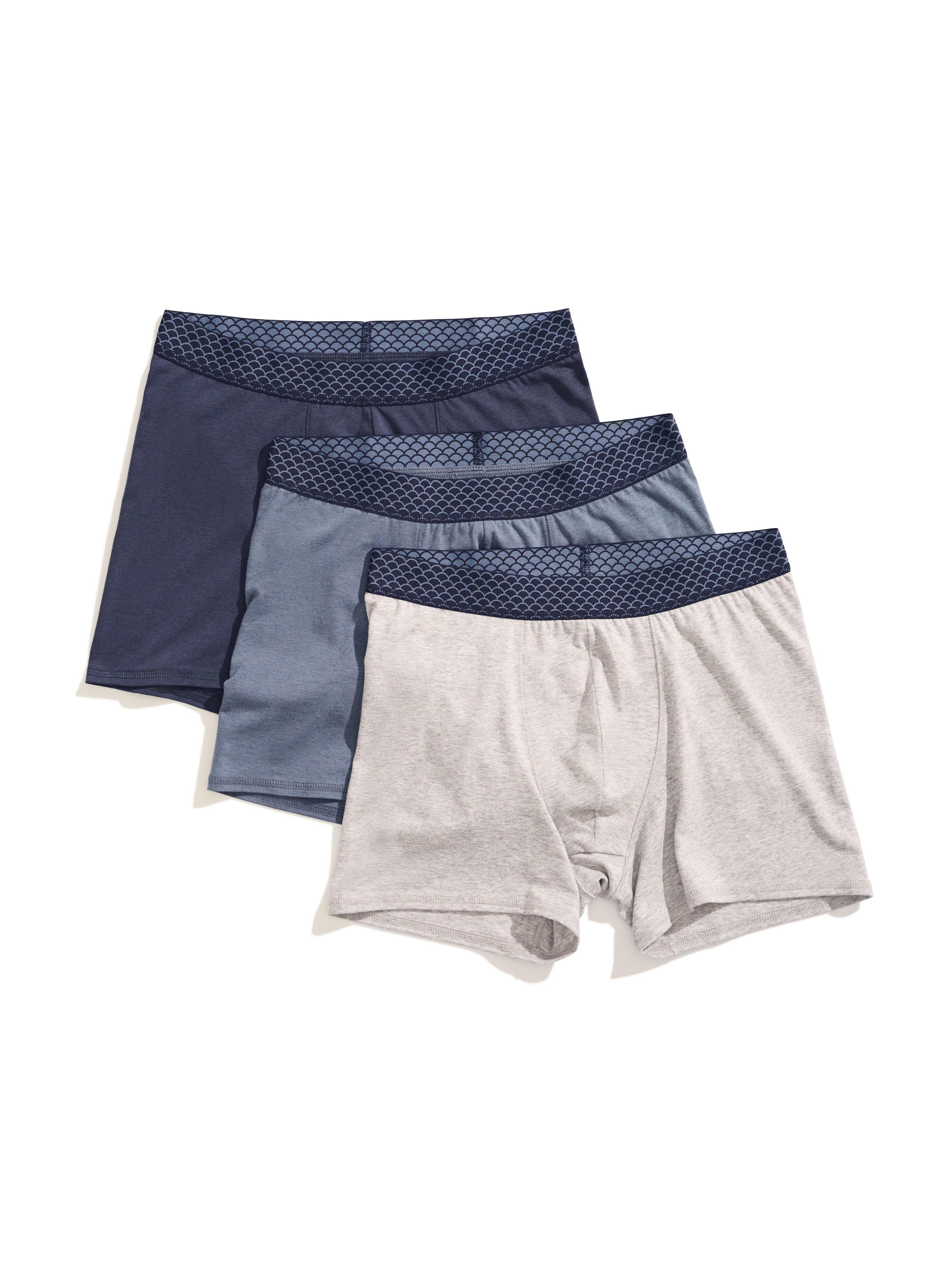 Boxer Brief 3 Pack - Flint Grey Navy Male Product Image