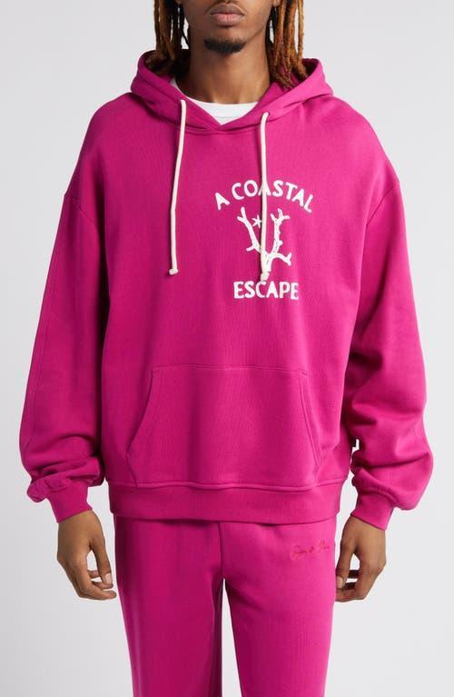 Mens Coral Hoodie Product Image