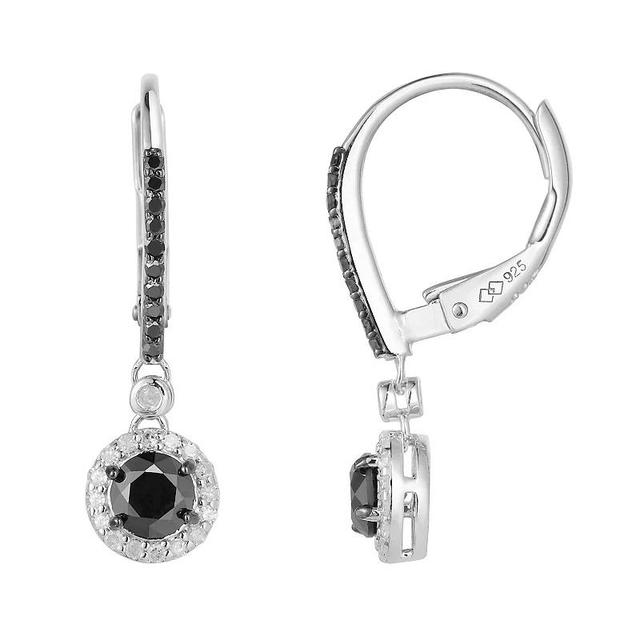 Sterling Silver 1 Carat T.W. Black & White Diamond Leverback Earrings, Womens, Silver Tone Product Image