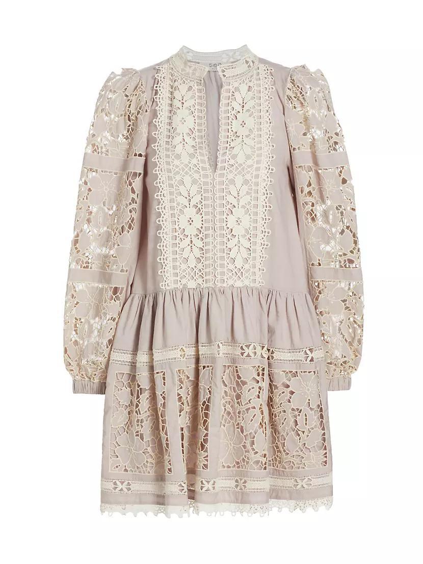 Joah Embroidered Lace Minidress Product Image