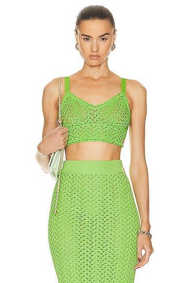 Dolce & Gabbana Knit Bra Top in Green Product Image