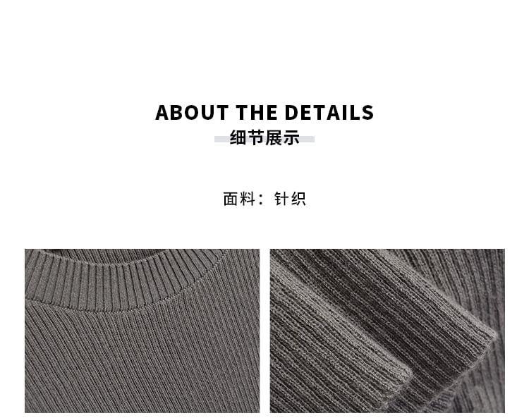 Long Sleeve Crew Neck Plain Ribbed Knit Top Product Image