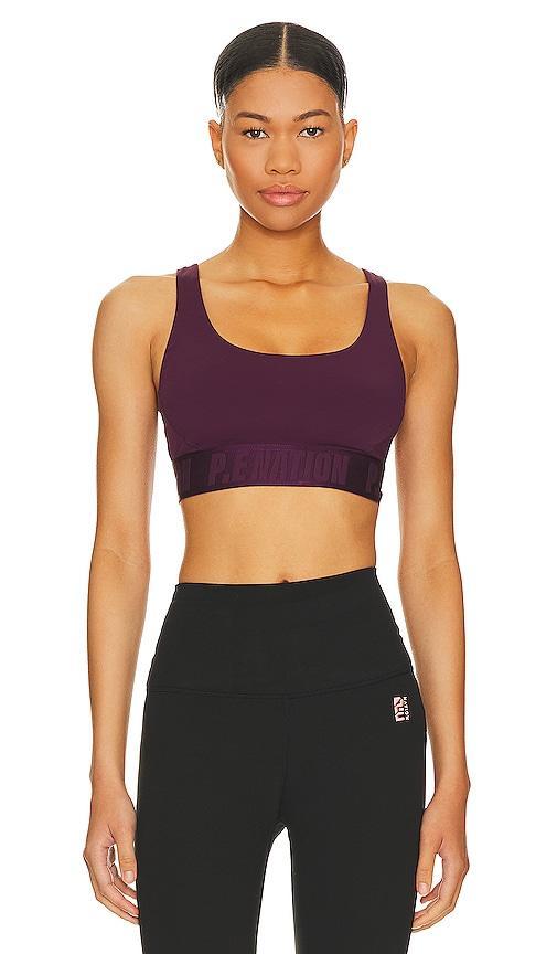 Backcheck Sports Bra Product Image