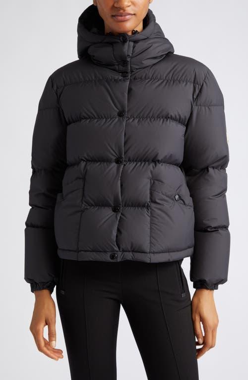 Moncler Ebre Quilted Short Down Jacket Product Image