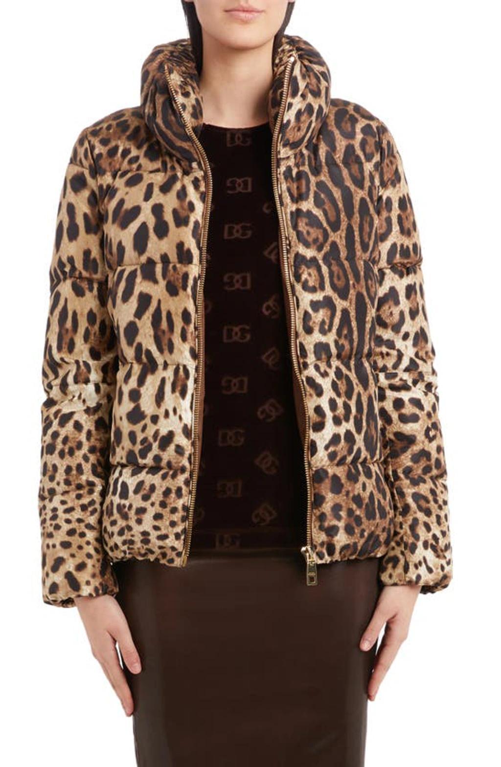 Leopard-print Padded Jacket In Multicolor Product Image