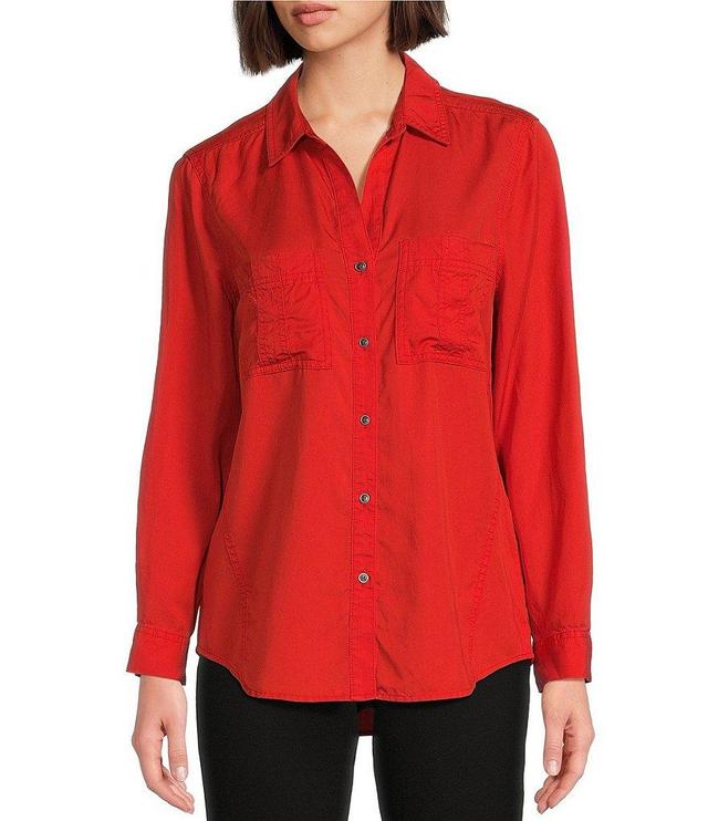 Westbound Petite Size Woven Long Roll-Tab Sleeve Point Collar Y-Neck Button Front Shirt Product Image