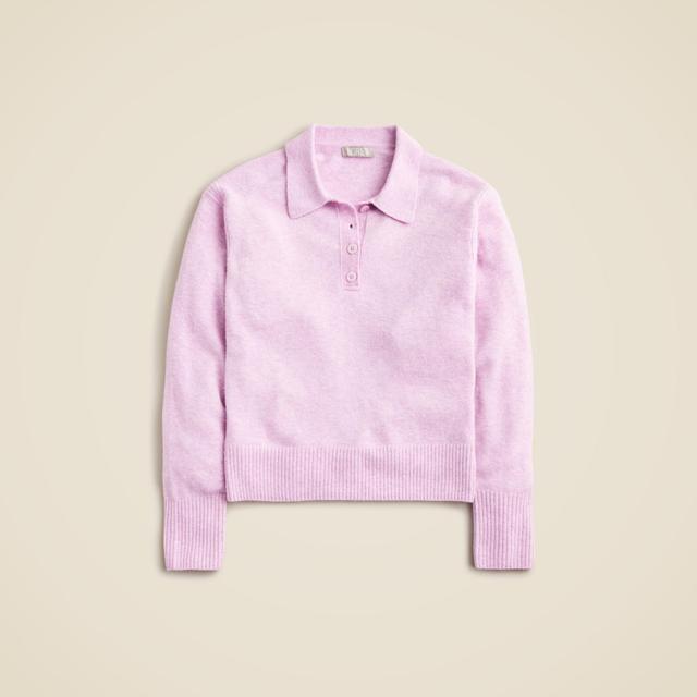 Long-sleeve sweater-polo in Supersoft yarn Product Image