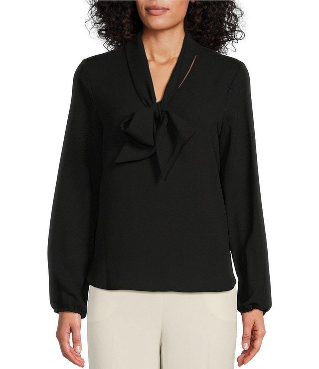 Kasper Crepe Tie V-Neck Long Sleeve Blouse Product Image