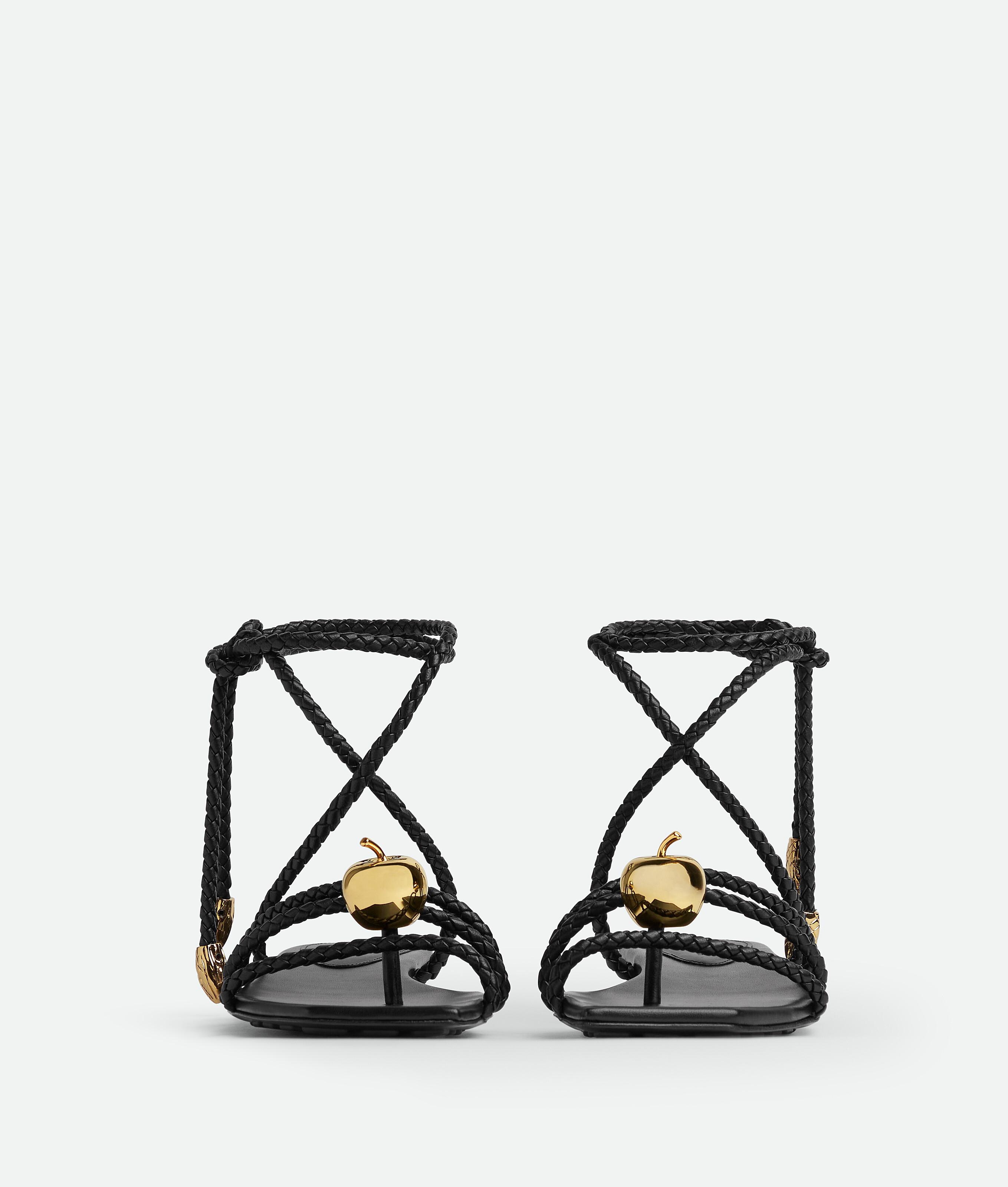 Women's Adam Flat Sandal in Black Product Image