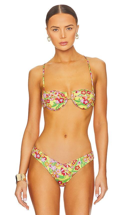 Sienna Bikini Top Product Image