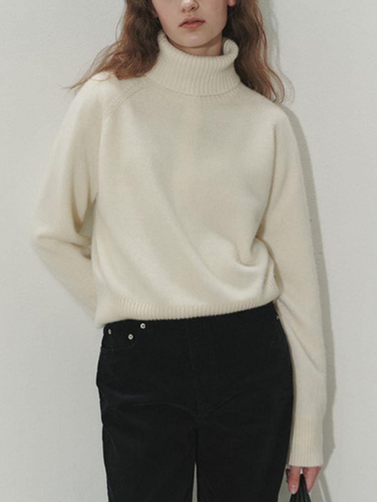 Turtleneck Plain Sweater Product Image