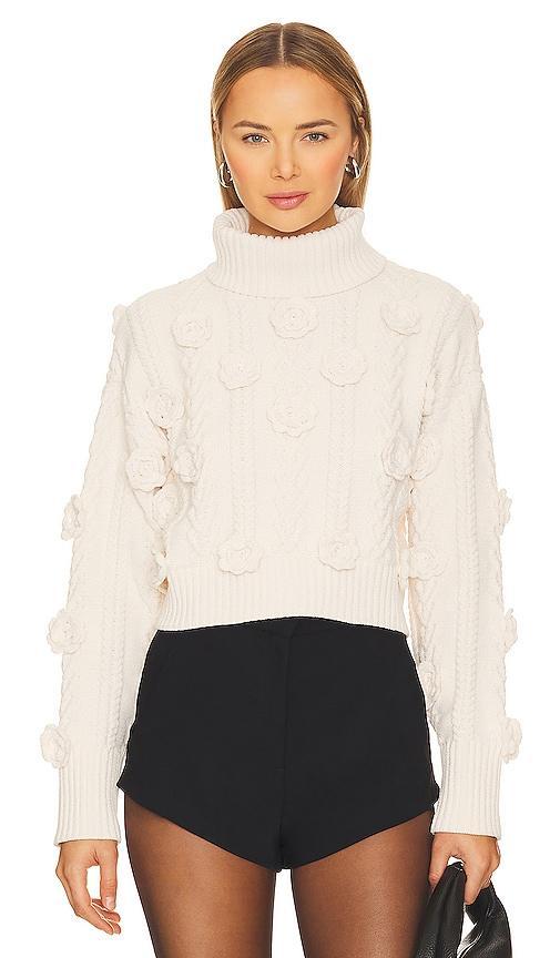 Martina Cropped Sweater Product Image