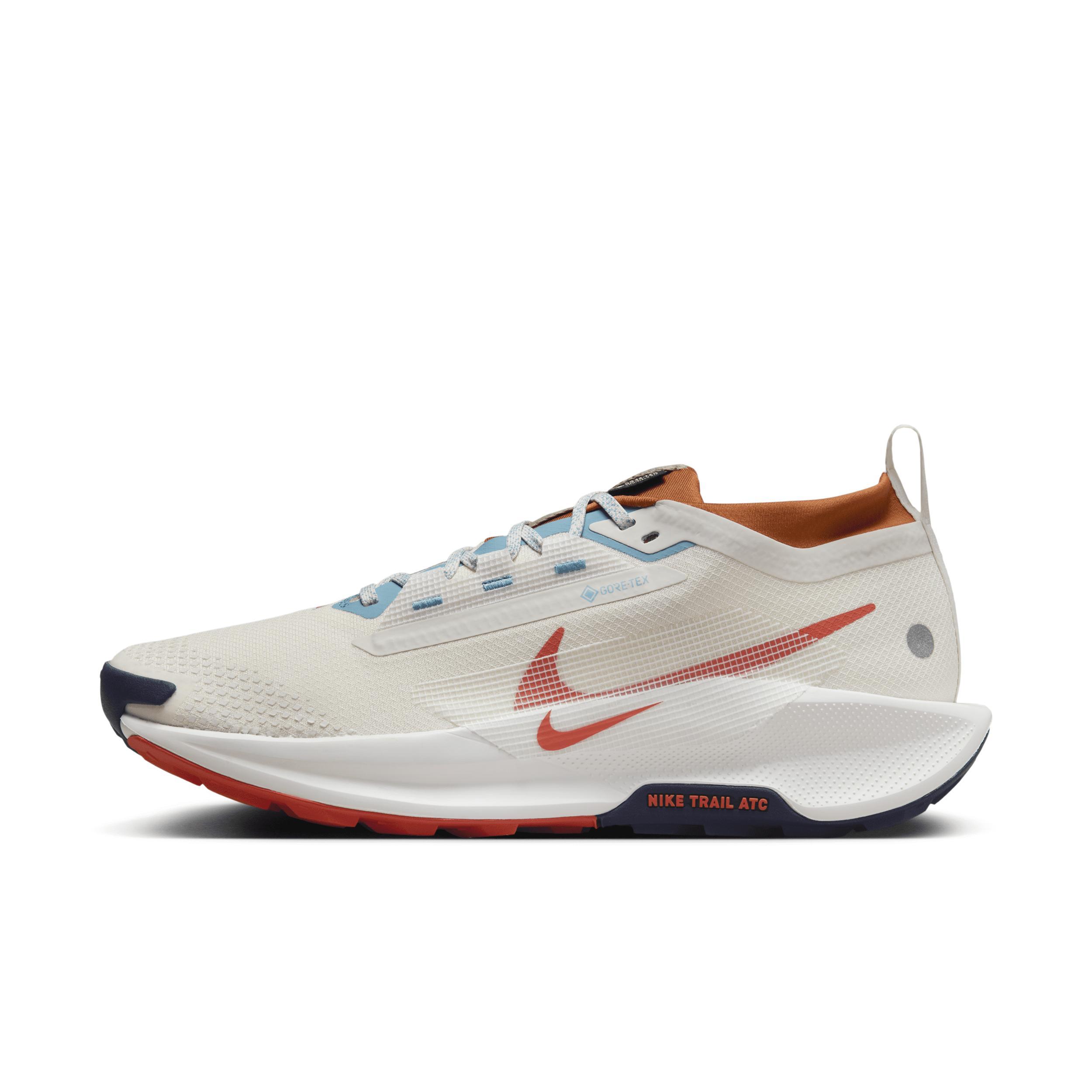 Nike Men's Pegasus Trail 5 GORE-TEX Waterproof Trail Running Shoes Product Image