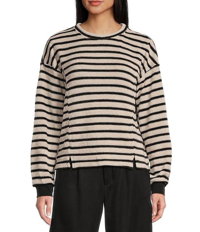 Evolutionary Chenille Stripe Knit Pullover Top Product Image