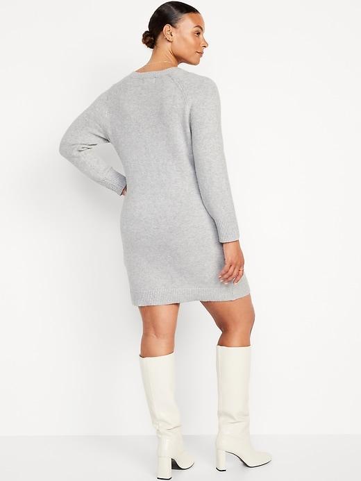 SoSoft Mini Sweater Dress Product Image