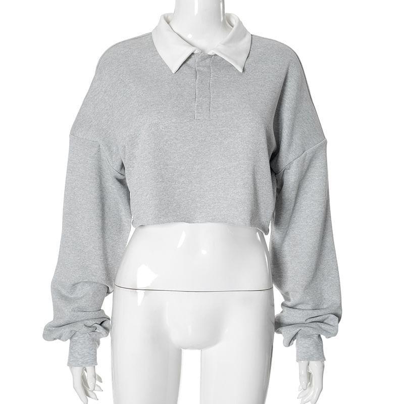 Contrast Collar Crop Pullover Product Image