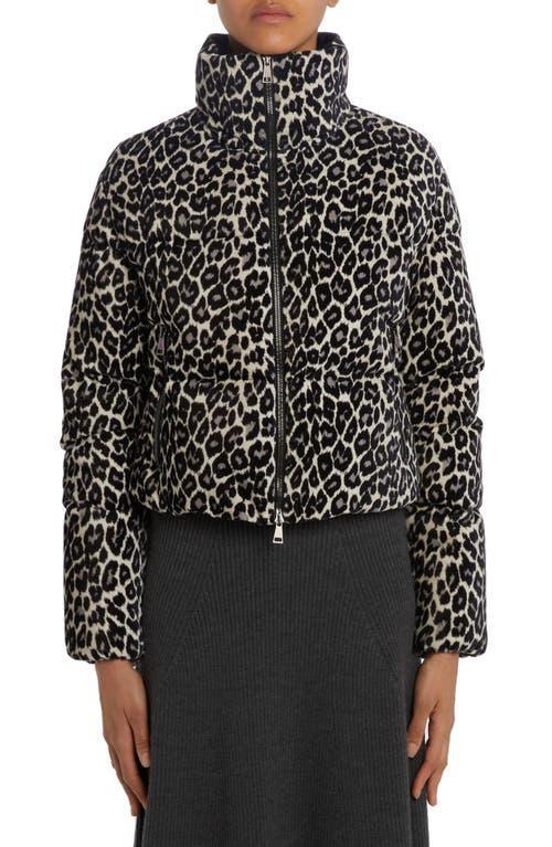 Moncler Sebou Leopard Print Crop Down Jacket Product Image