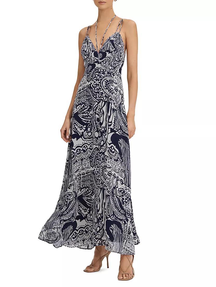 Quinn Printed Maxi Dress Product Image