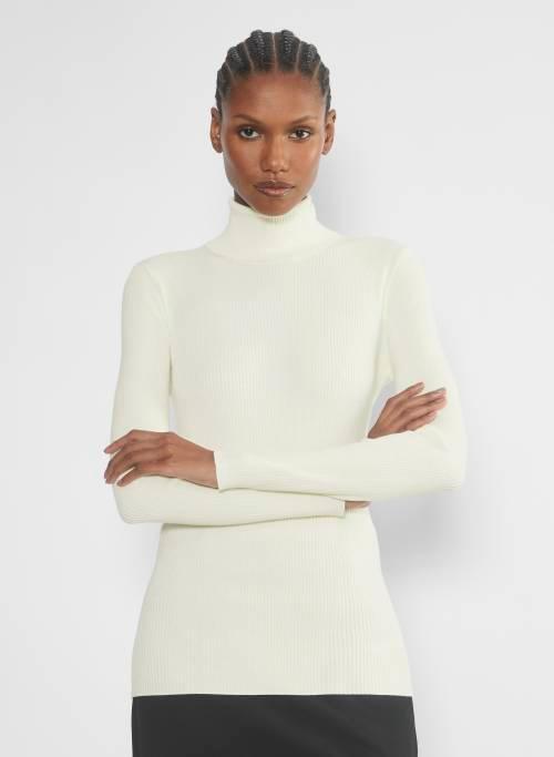 compel turtleneck Product Image