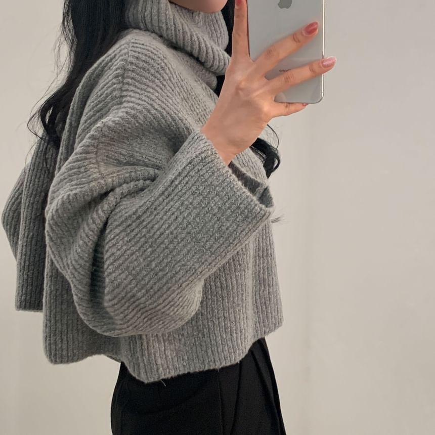 Long Sleeve Turtleneck Loose Crop Sweater product image