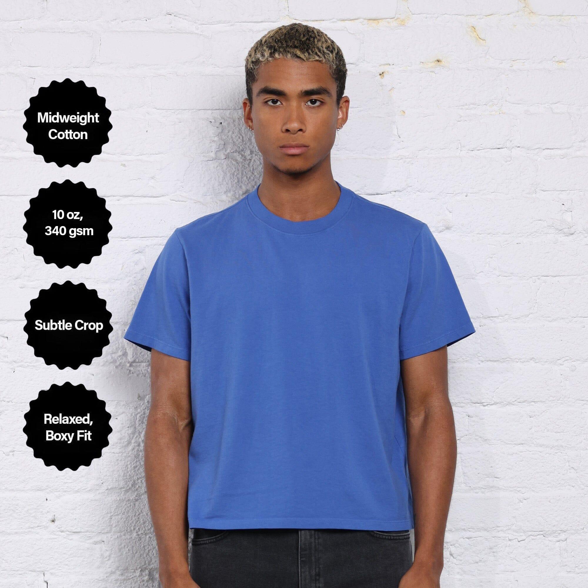 The Silverlake Crop Tee II Product Image