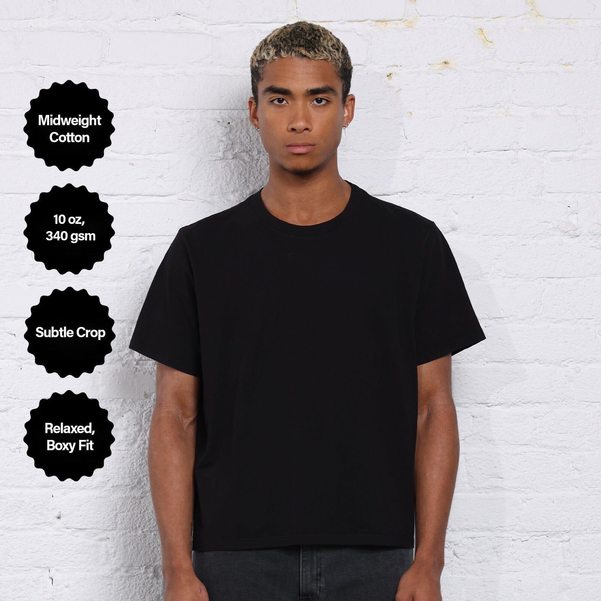 The Silverlake Crop Tee II Product Image