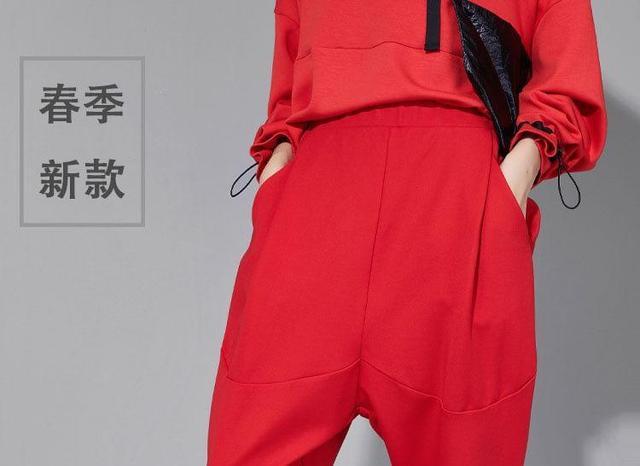 Elastic Waist Plain Baggy Pants Product Image