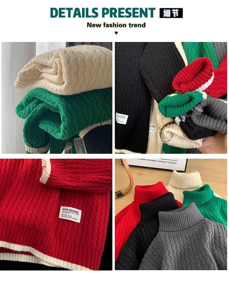 Turtleneck Plain Sweater Product Image