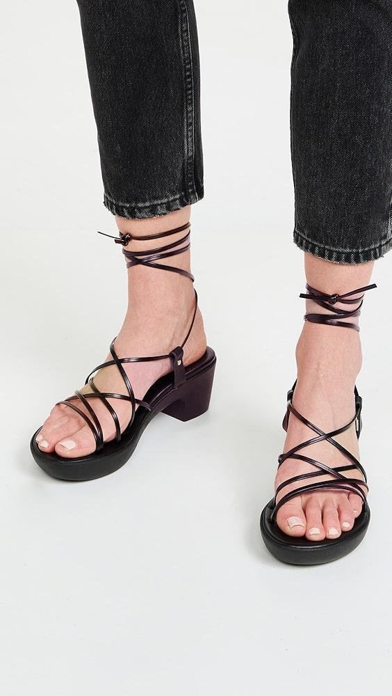 Ancient Greek Sandals Esperida Sandals | Shopbop Product Image