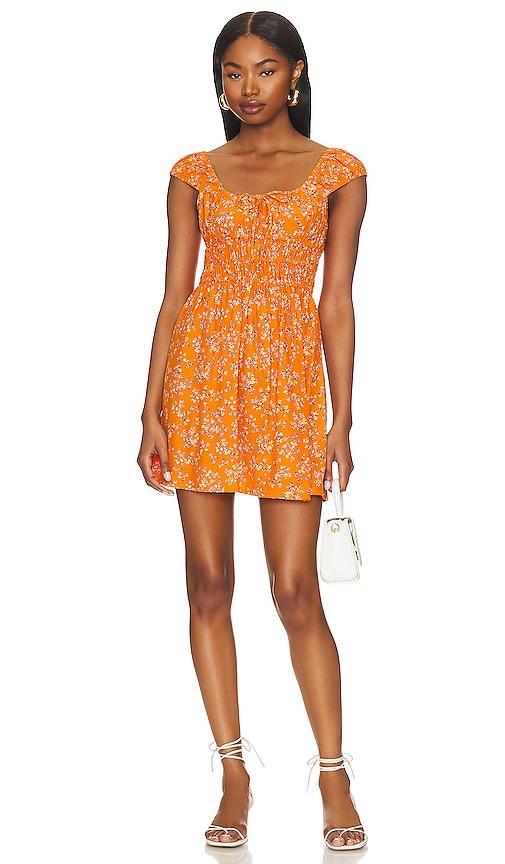 Lucciola Mini Dress Product Image