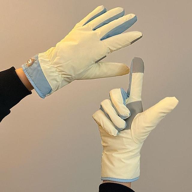 Panel Fleece-Lined Gloves Product Image