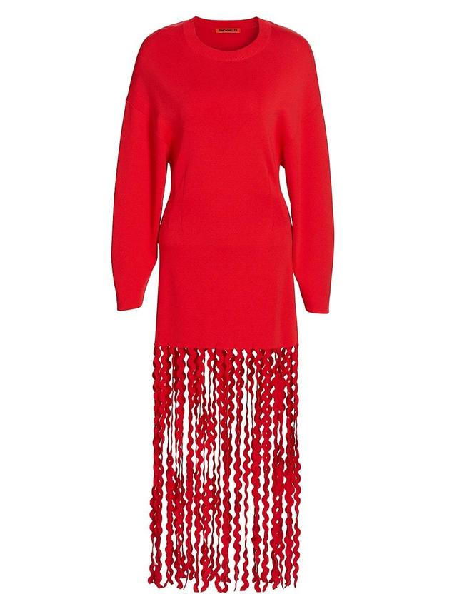 Womens Wallis Knit Fringe Dress Product Image