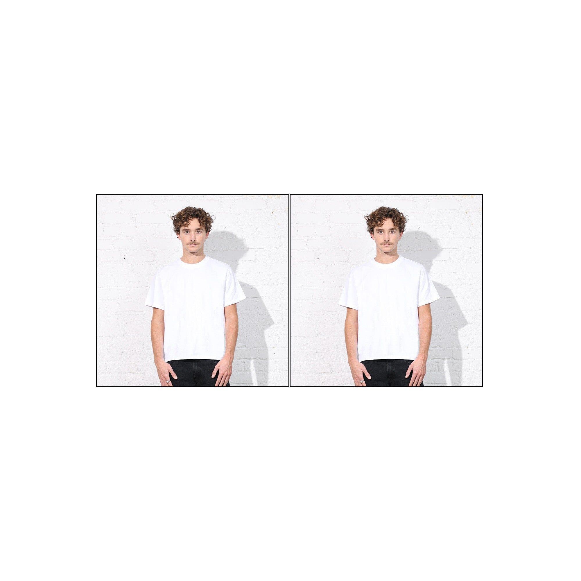 2-Pack | The Silverlake Crop Tee II Product Image