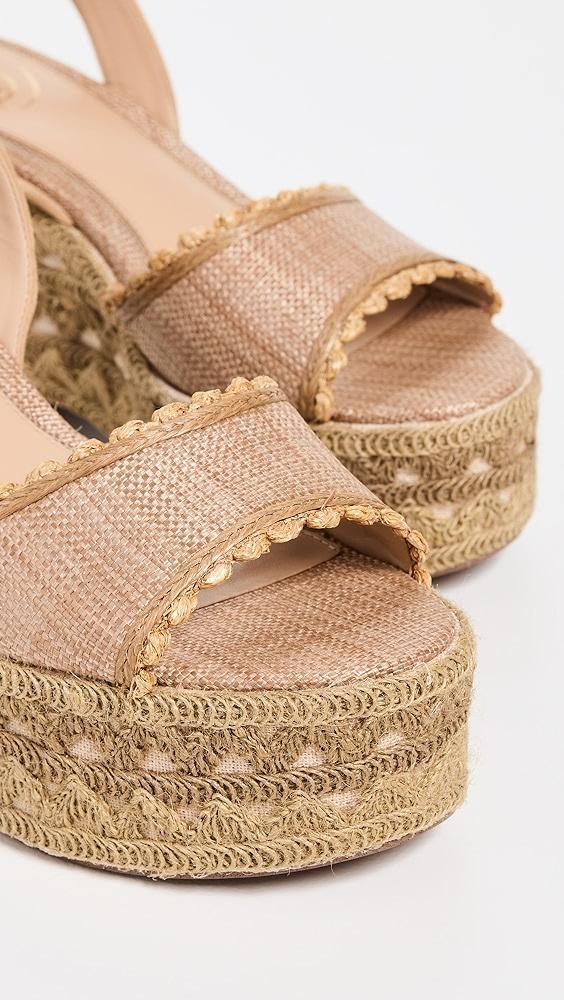 Sam Edelman Amber Espadrille Wedges | Shopbop Product Image