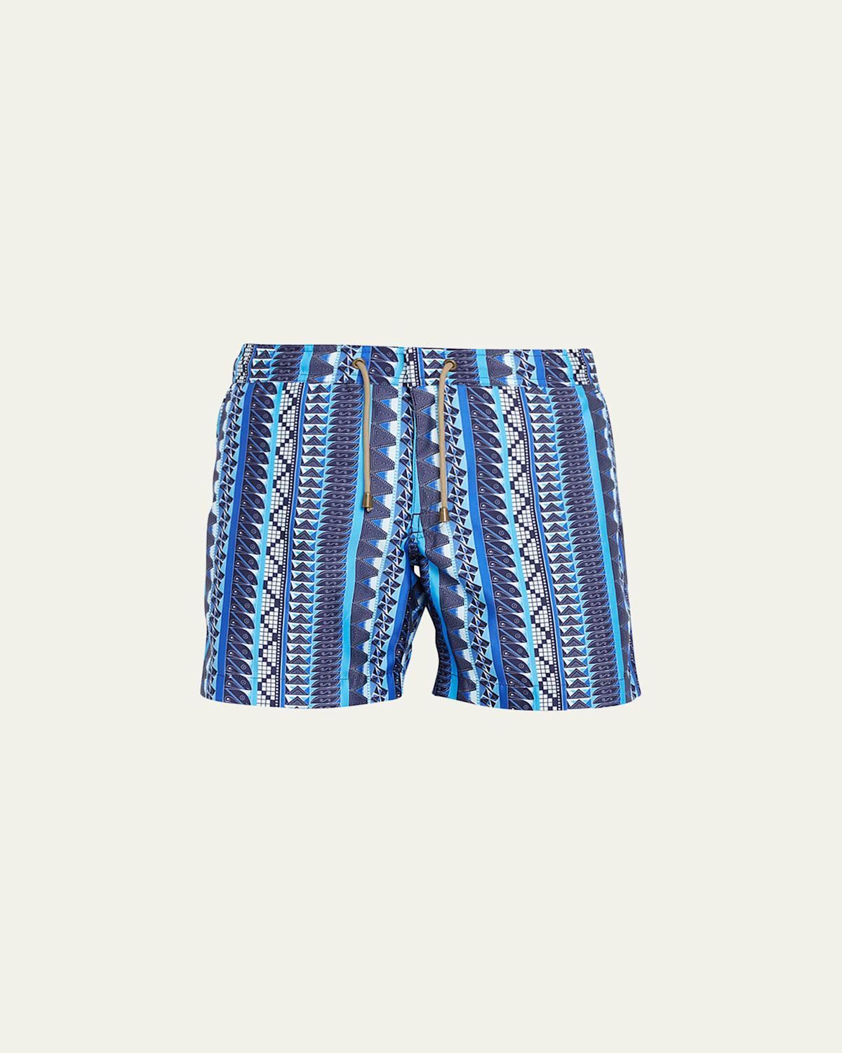 Mens Patterned Stripe Swim Shorts Product Image