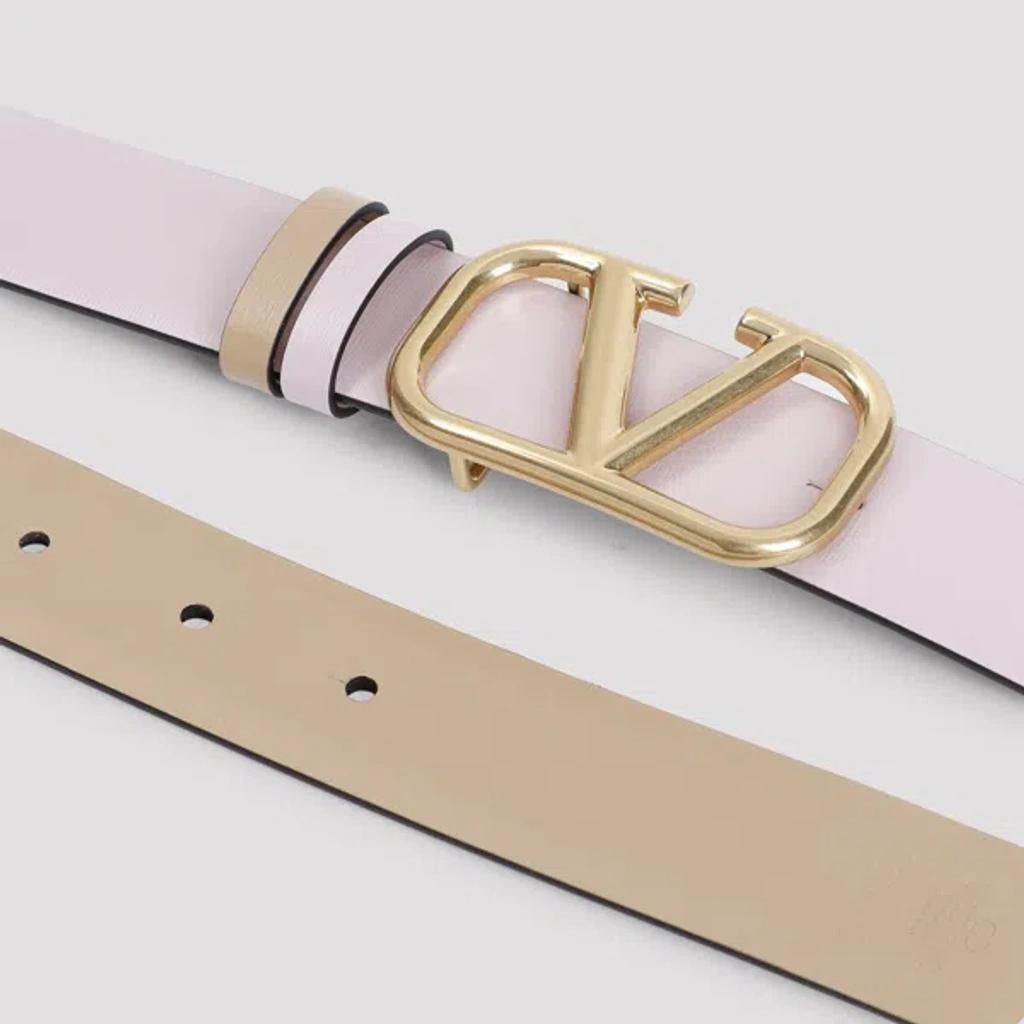 Belt In Multicolor Product Image