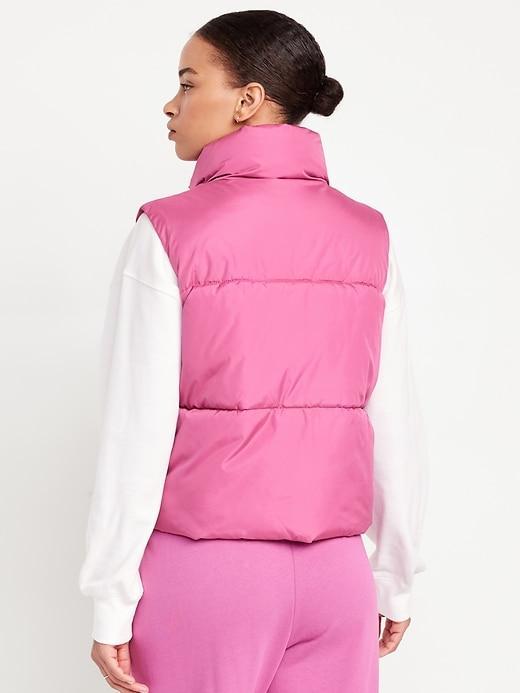 Quilted Puffer Vest Product Image