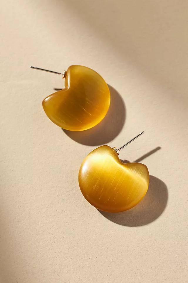 Curved Lucite Earrings Product Image