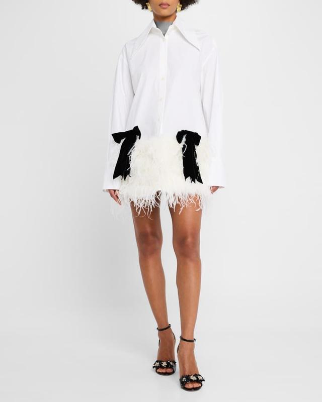 Costes Poplin Feather Dress Product Image