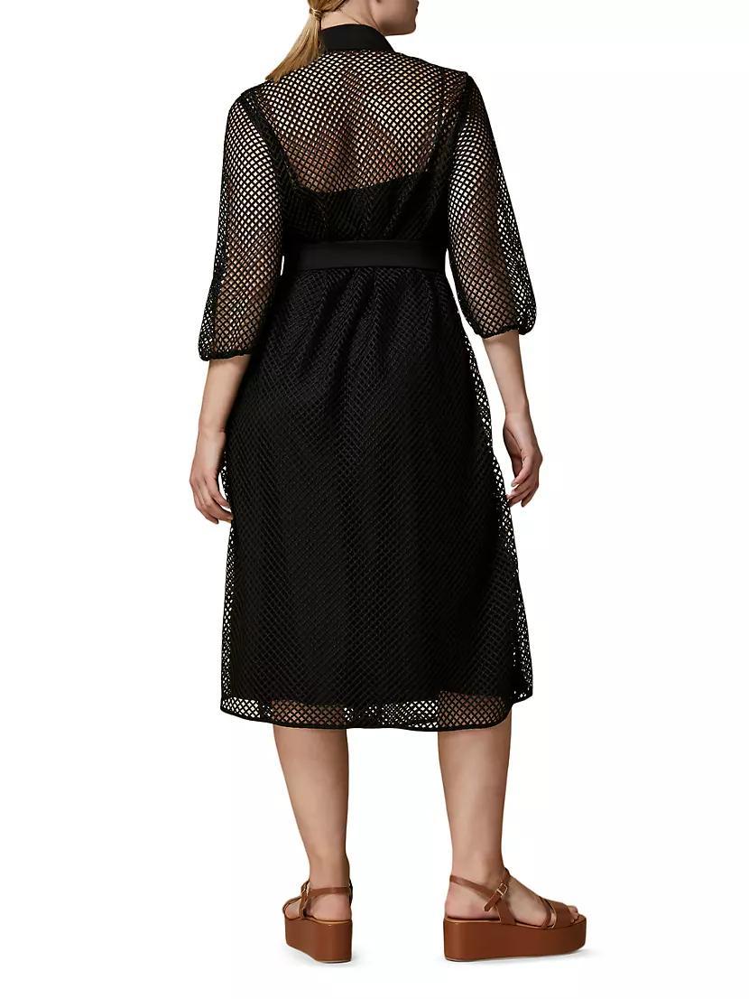 Zarina Belted Mesh & Poplin Dress Product Image