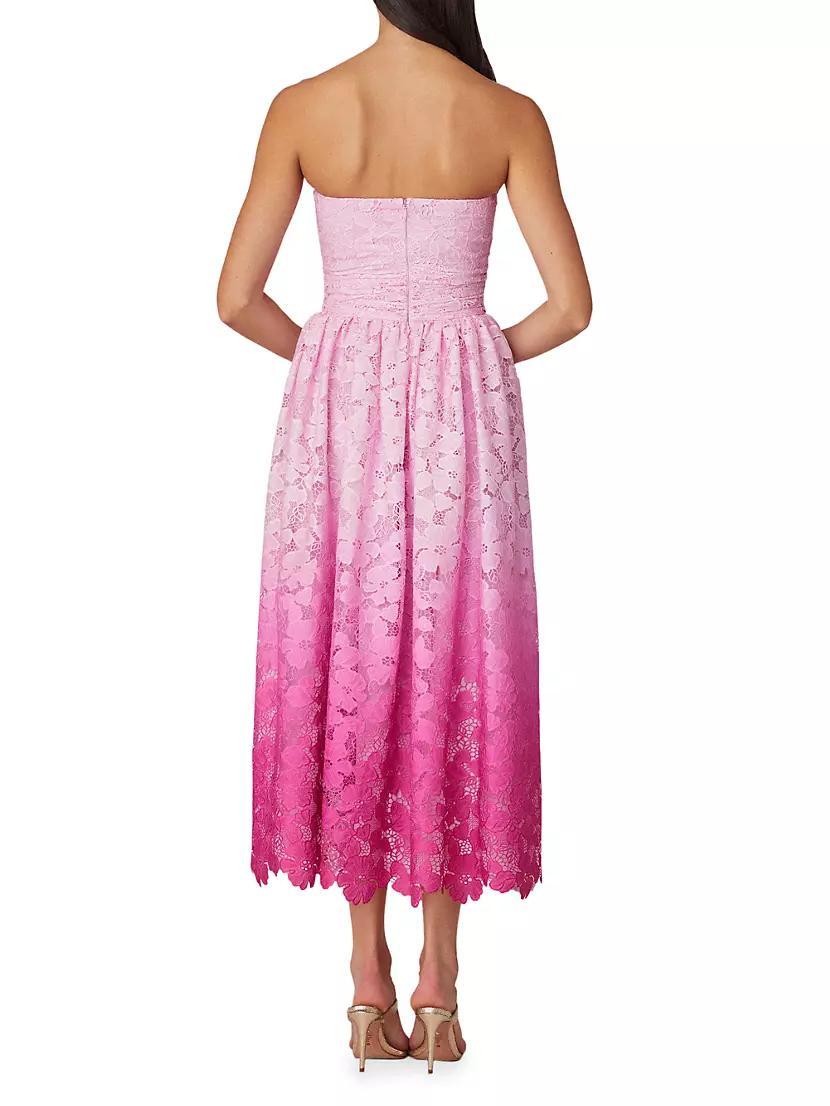 Tulip Ombré Floral Lace Midi-Dress Product Image