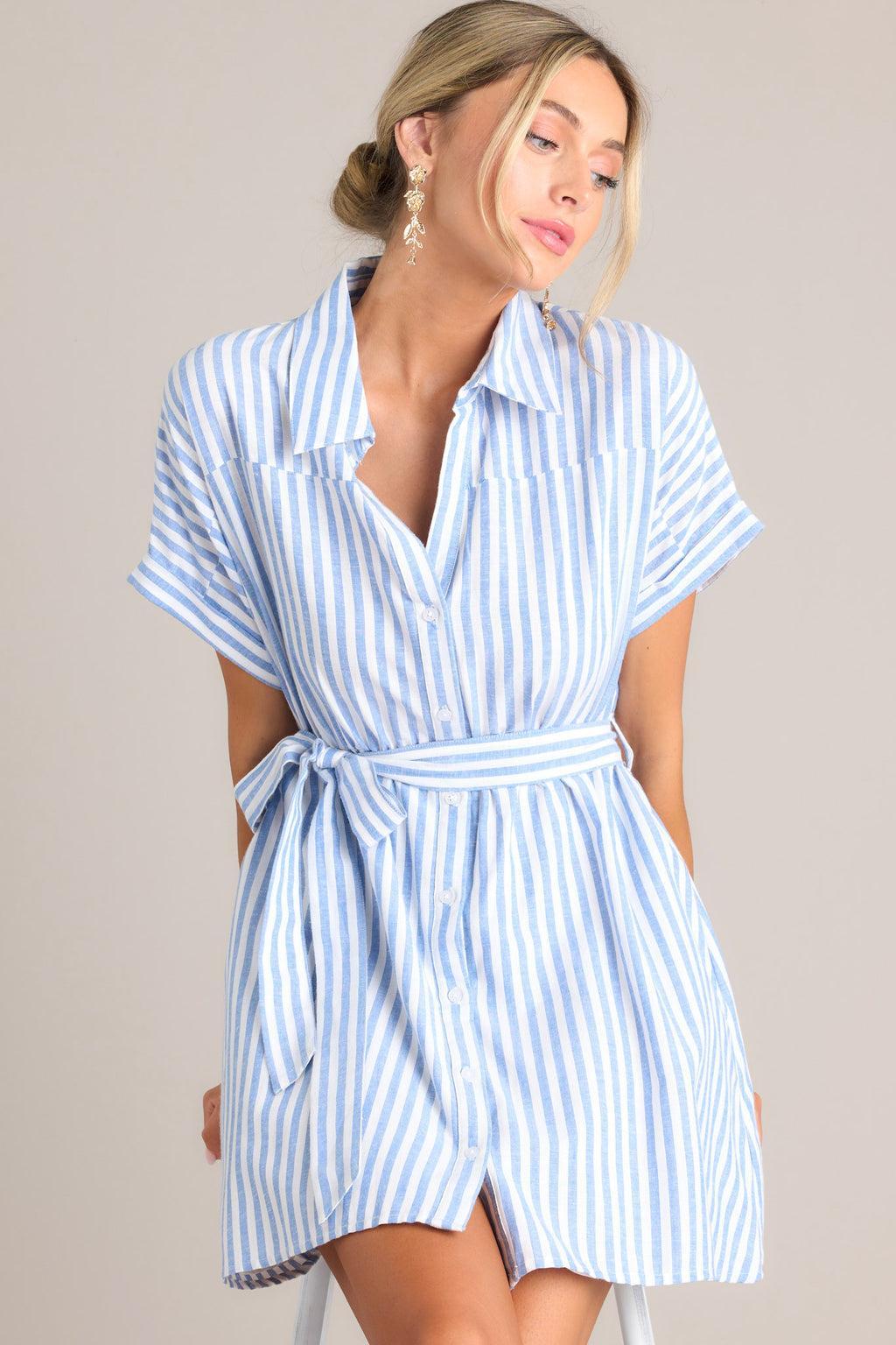 Simple Moments Blue & White Stripe Button Front Mini Dress Product Image